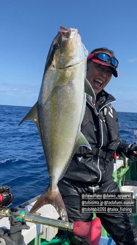 カンパチの釣果