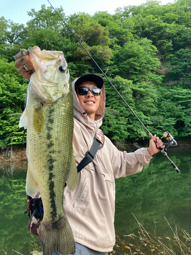 ブラックバスの釣果