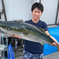 ヤズの釣果