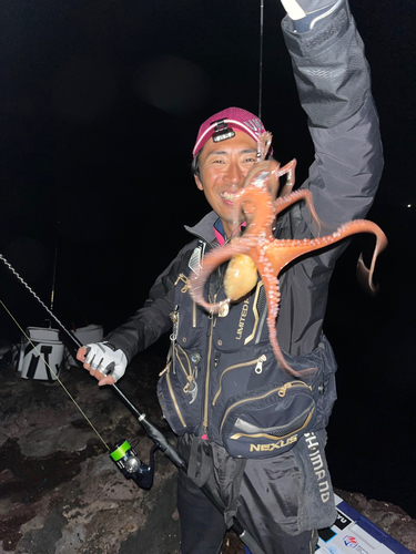 タコの釣果