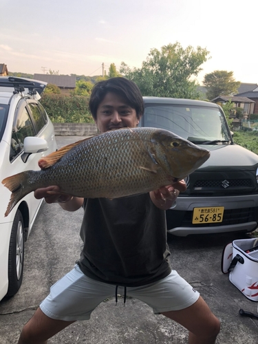 ハマフエフキの釣果