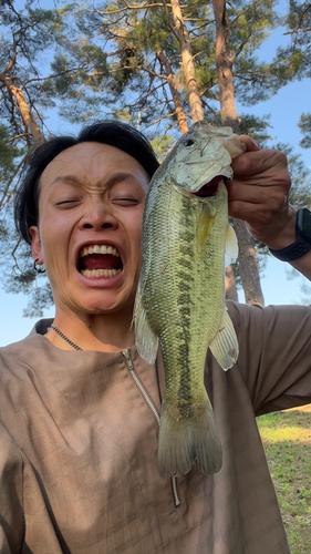 ブラックバスの釣果