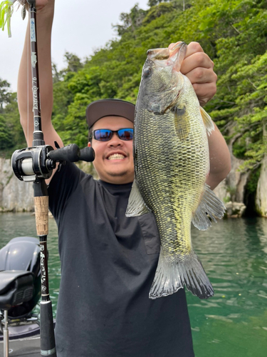 ブラックバスの釣果