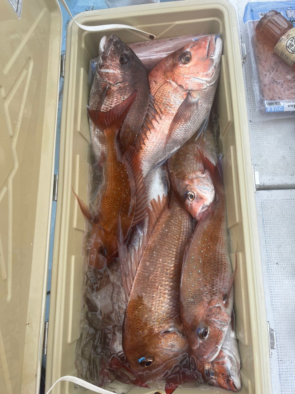 いとちゃさんの釣果 2枚目の画像