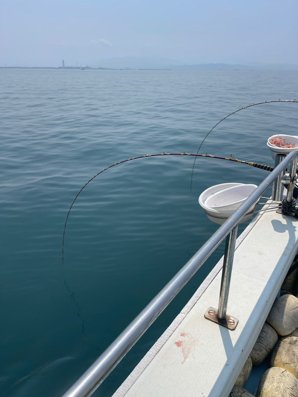 いとちゃさんの釣果 3枚目の画像