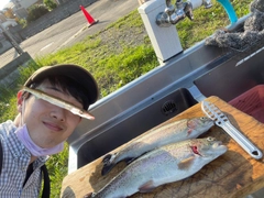 ニジマスの釣果