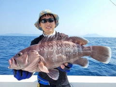 マハタの釣果