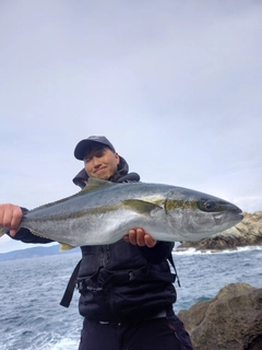 ヒラマサの釣果