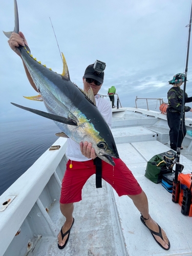 キハダマグロの釣果