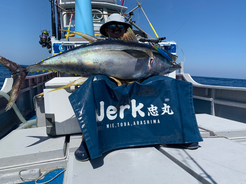 キハダマグロの釣果