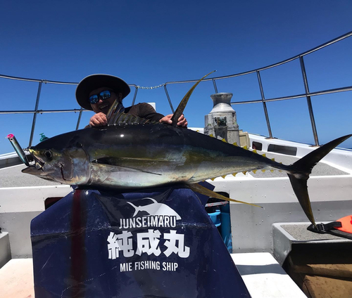 キハダマグロの釣果