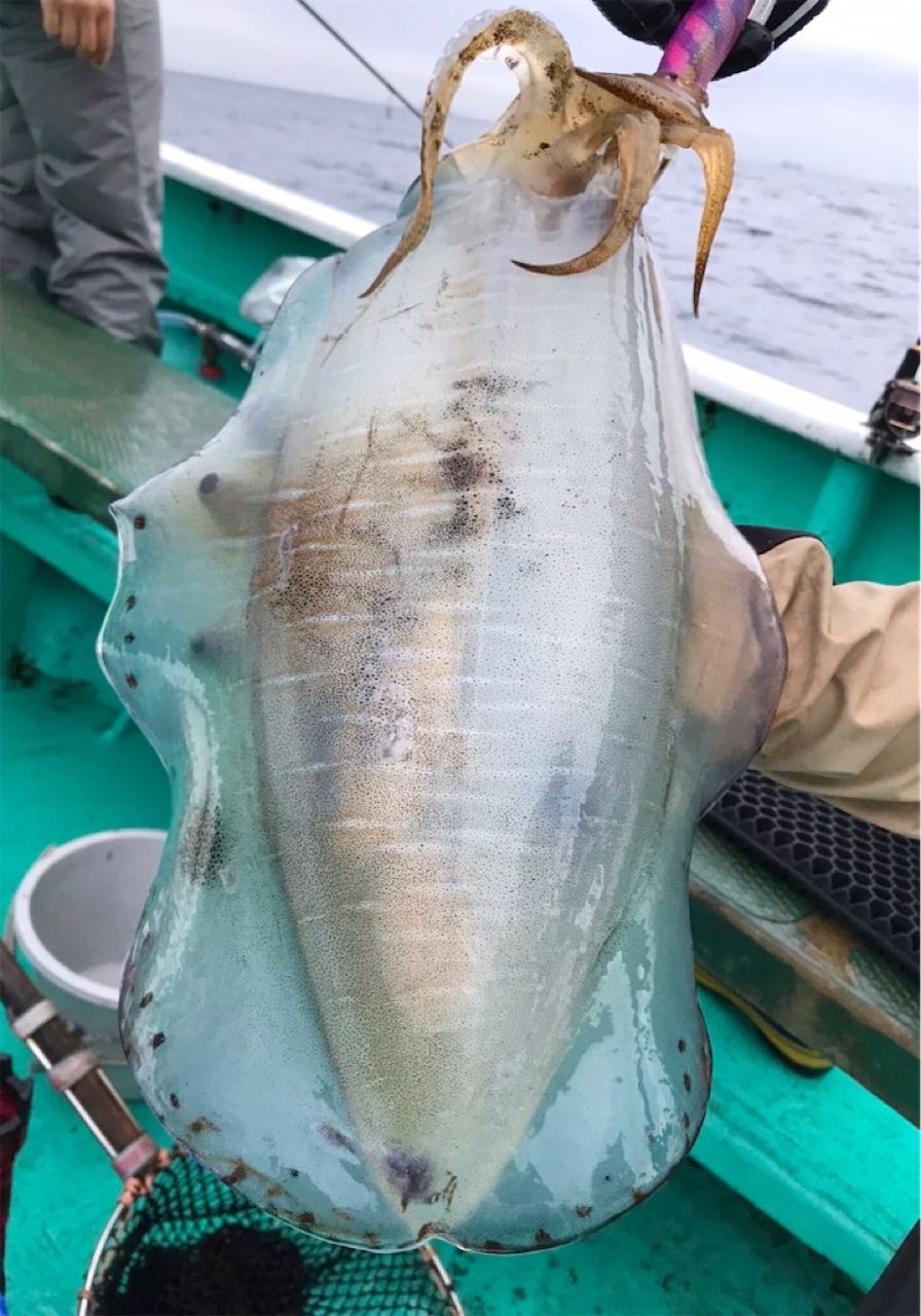 くにっしゅさんの釣果 2枚目の画像