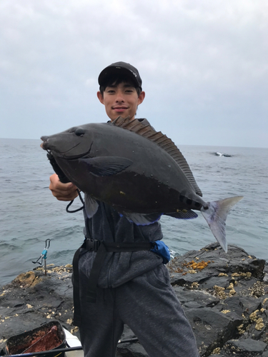 サンノジの釣果