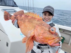 ウッカリカサゴの釣果