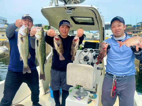 クロメバルの釣果