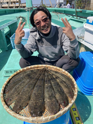 マゴチの釣果