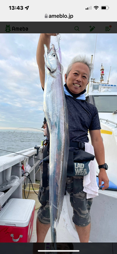 タチウオの釣果