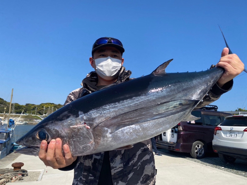 ビンチョウマグロの釣果