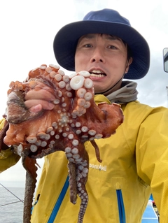 マダコの釣果