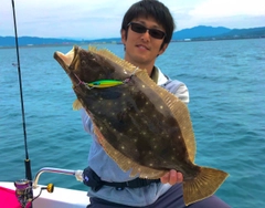 ヒラメの釣果