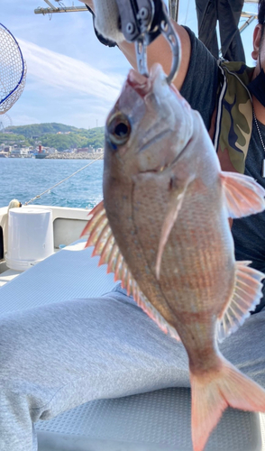 タイの釣果