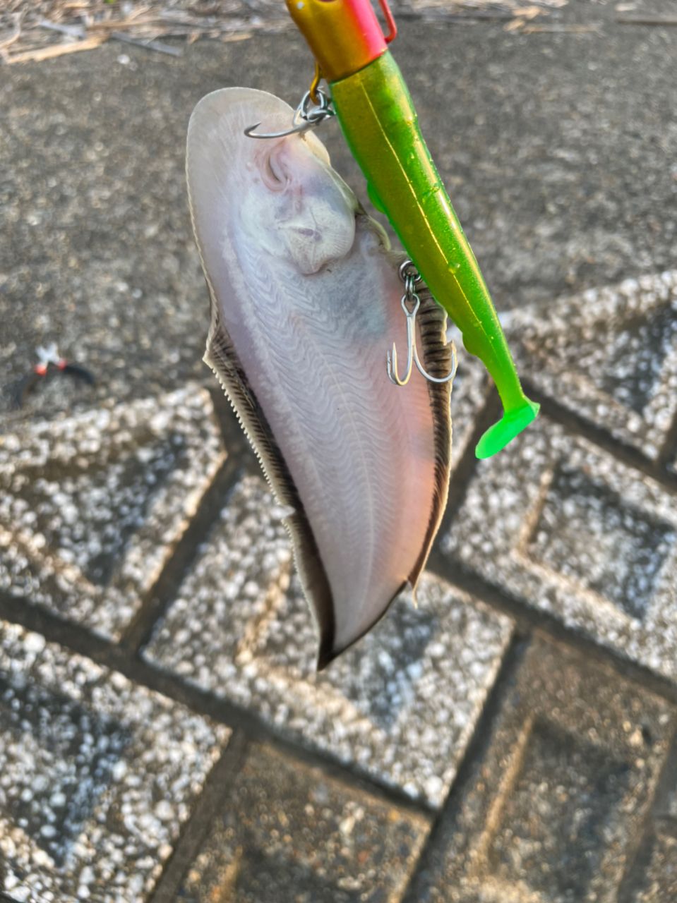 ウシノシタ