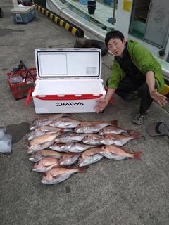 マダイの釣果