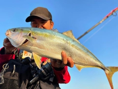 ブリの釣果