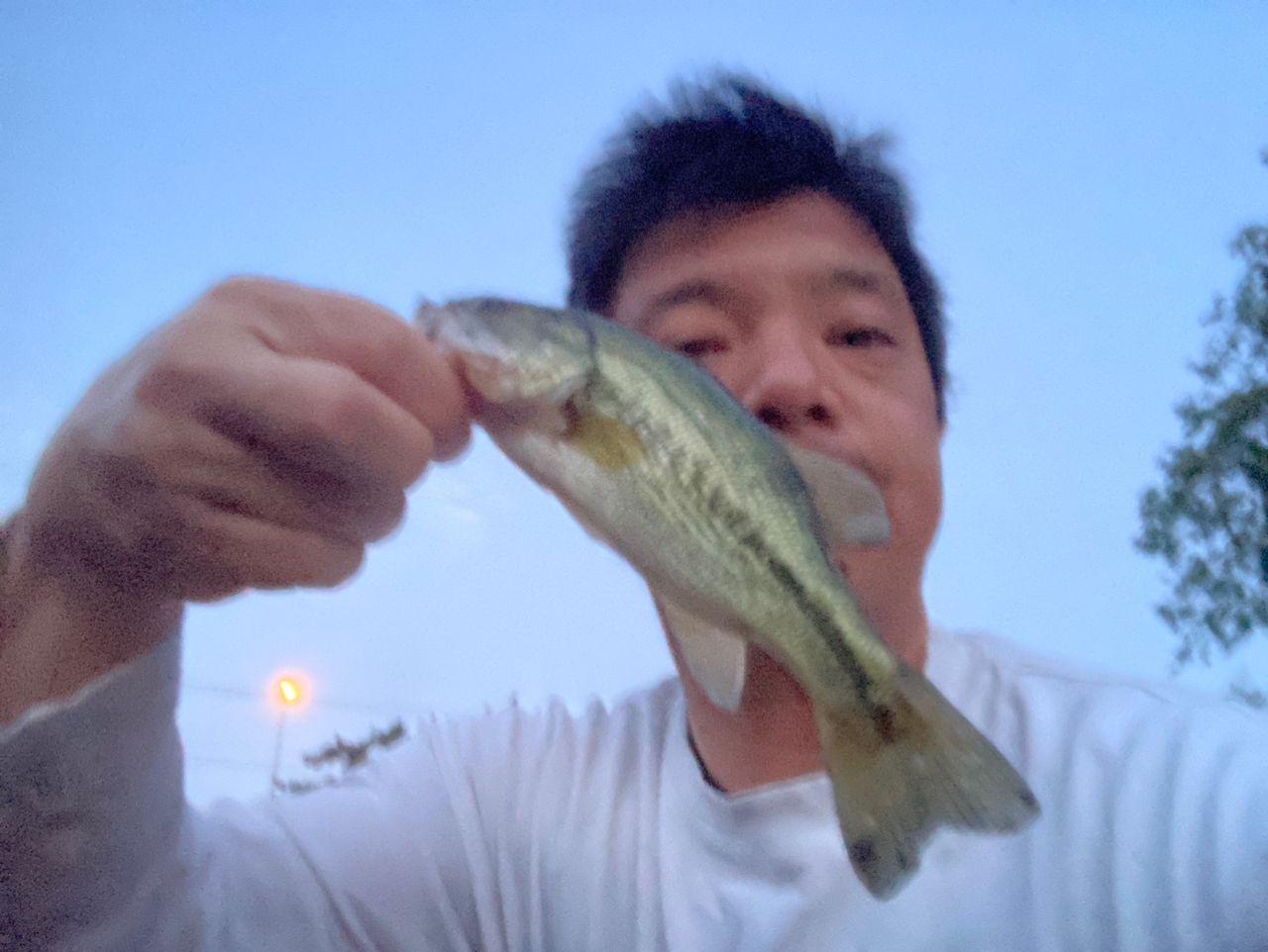 ラージマウスバス