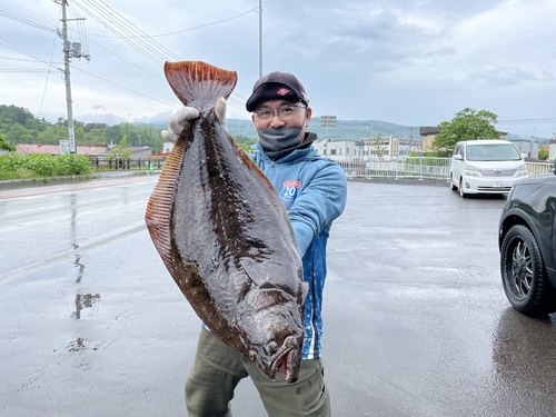 ヒラメの釣果