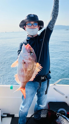 タイの釣果