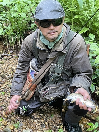 ヤマメの釣果