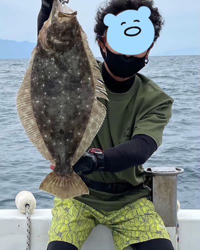 ヒラメの釣果