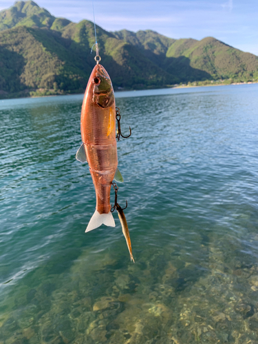 釣果