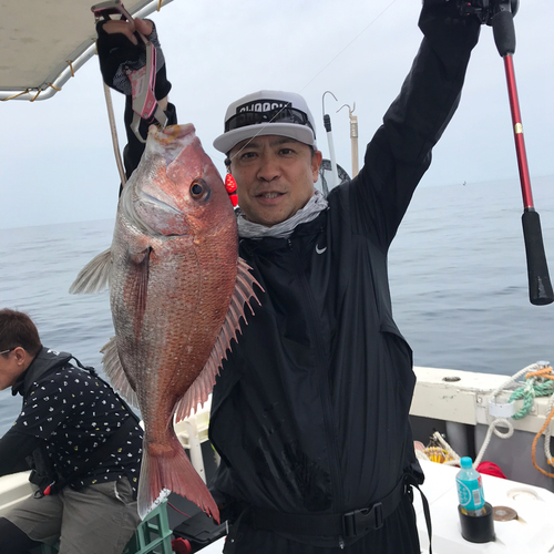 マダイの釣果