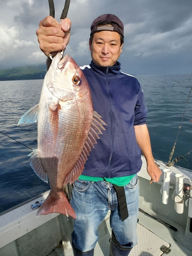 マダイの釣果