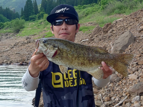 スモールマウスバスの釣果