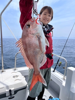 マダイの釣果