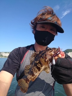 タケノコメバルの釣果