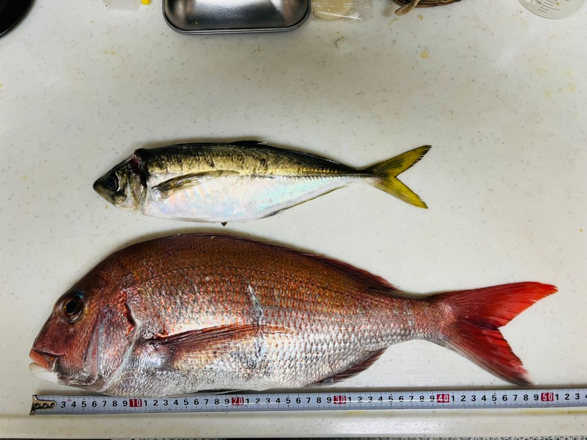 健男さんの釣果 2枚目の画像