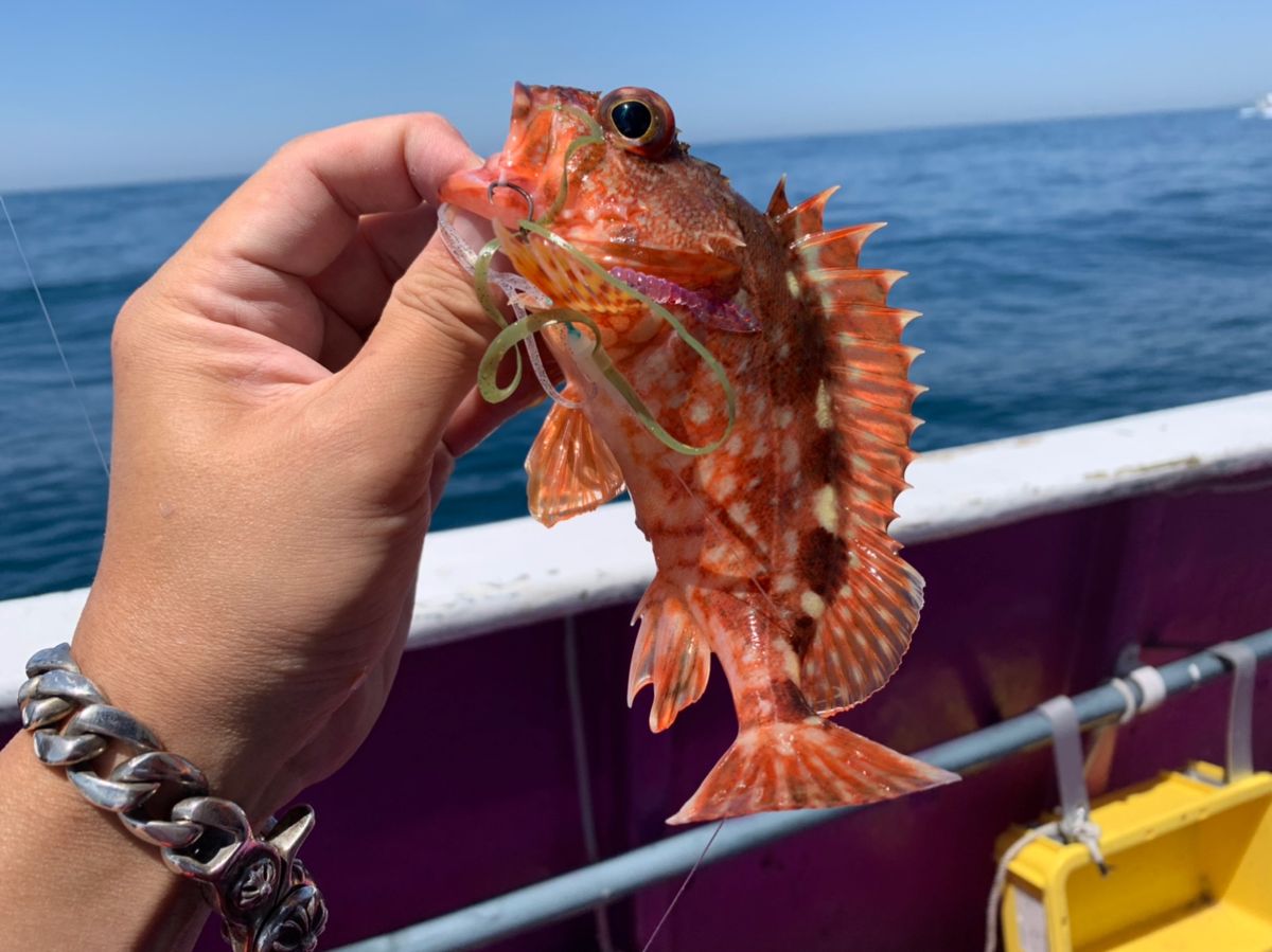 t.onumaさんの釣果 3枚目の画像