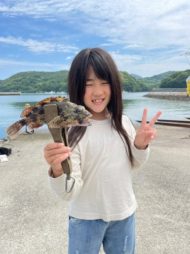 アラカブの釣果