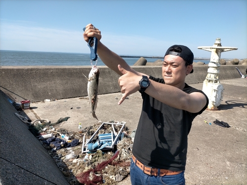 イシモチの釣果