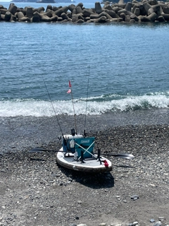 イトヨリダイの釣果