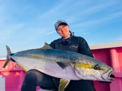 ヒラマサの釣果