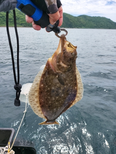 ソゲの釣果