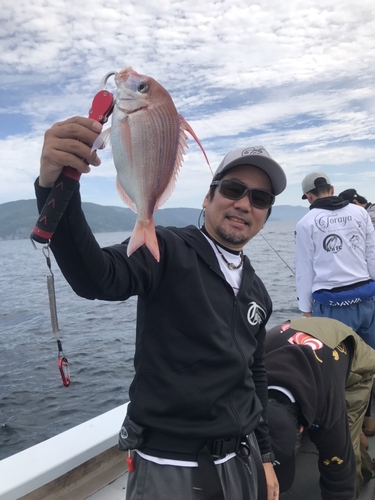 チダイの釣果