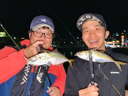 マアジの釣果