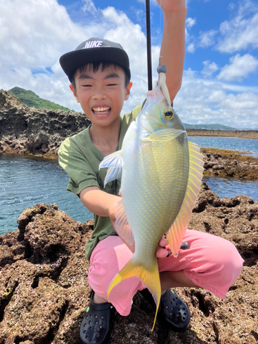 ジューマー(ヒトスジタマガシラ)の釣果