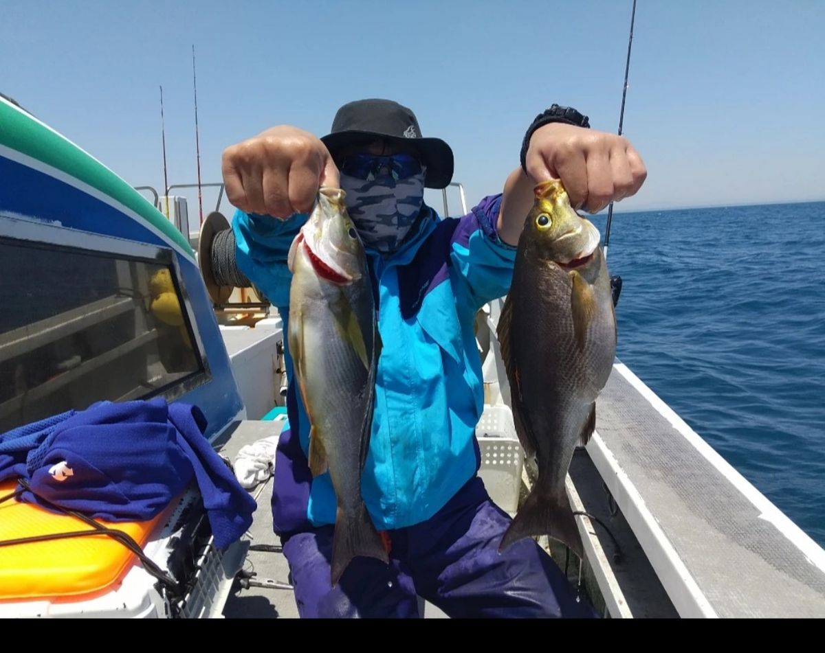 ちためっつさんの釣果 1枚目の画像